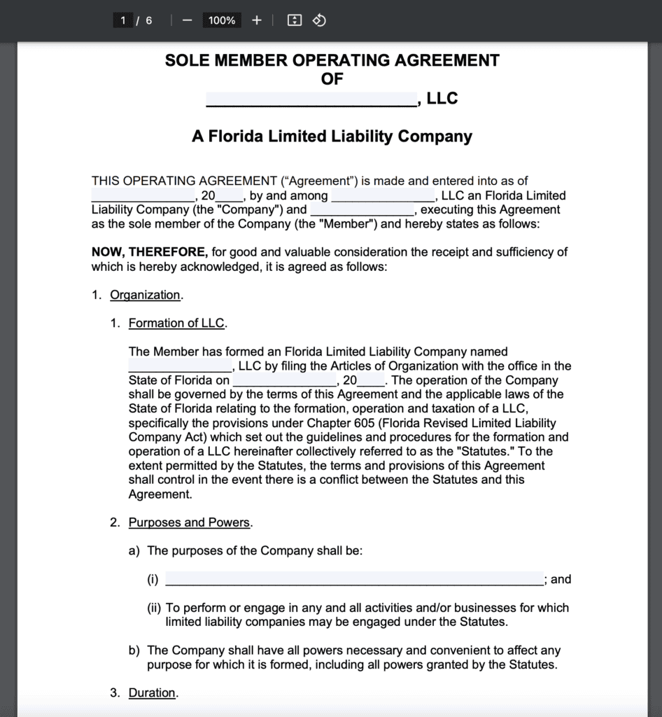 Blank Florida Single Member LLC Operating Agreement